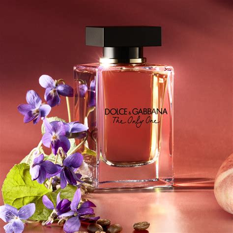 dolce gabbana number 1|dolce gabbana the one notes.